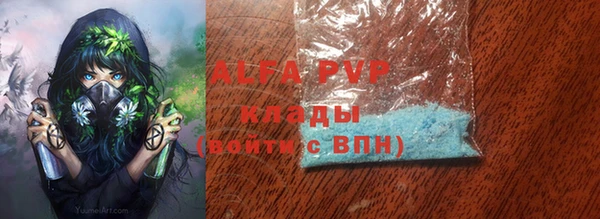 трава Белокуриха