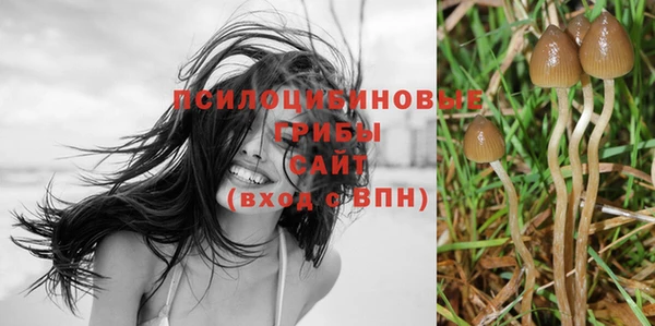 MDMA Premium VHQ Осинники
