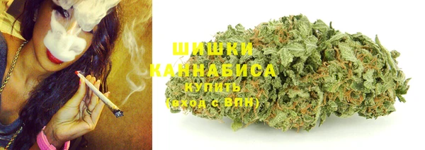 гидра Белоозёрский
