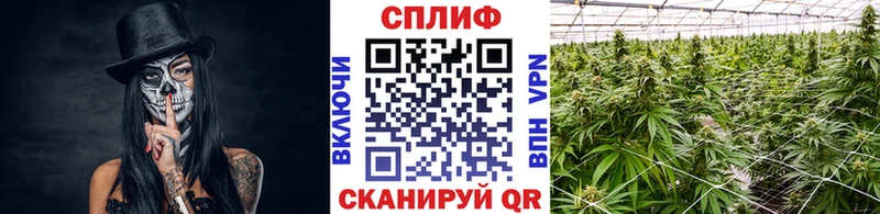 Шишки марихуана SATIVA & INDICA  Курчатов 